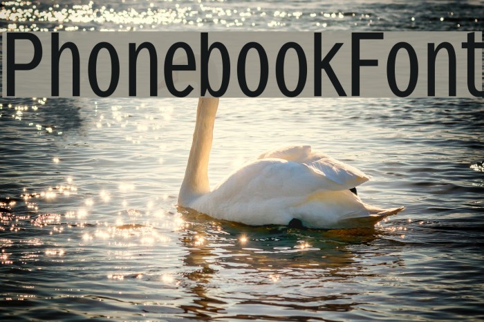 PhonebookFont Font examples