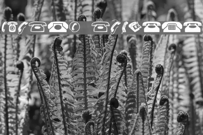 Phones NormalA Font examples