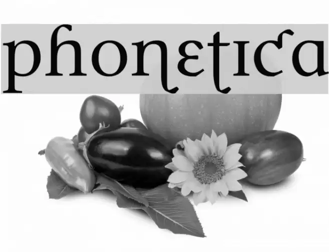 Phonetica フォント examples