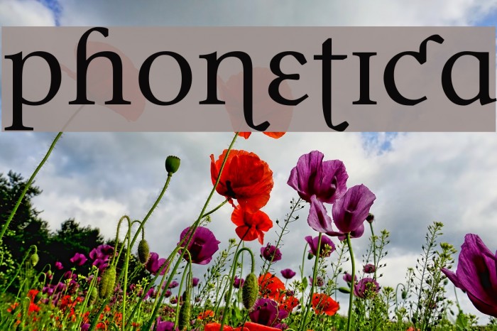Phonetica Font examples