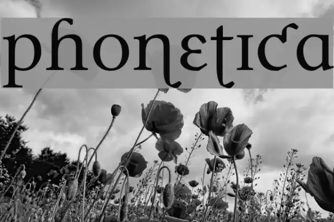 Phonetica フォント examples