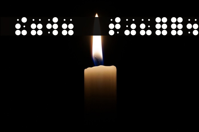 Phono Braille Font examples