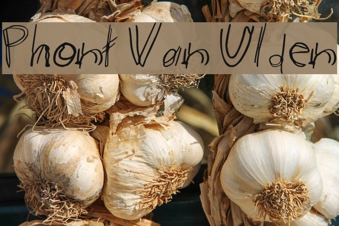 Phont Van Ulden Font examples