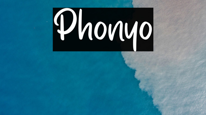Phonyo Example 1