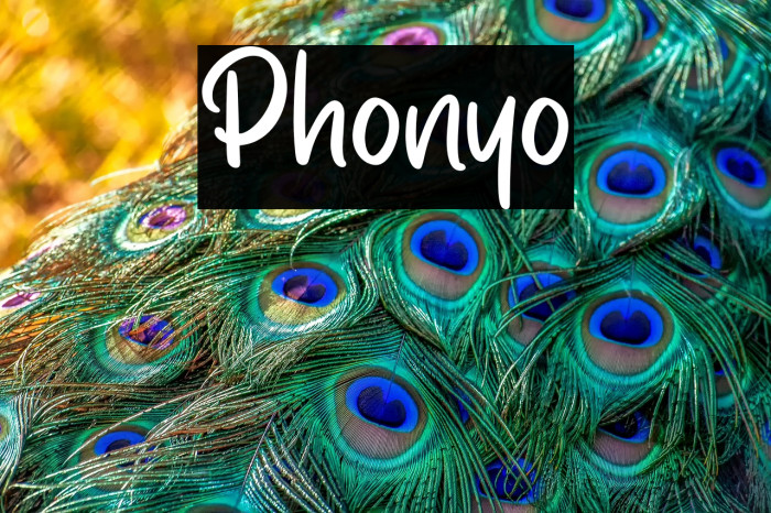 Phonyo Example 2