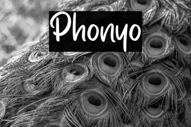 Phonyo Font examples