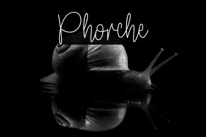 Phorche Fonte examples