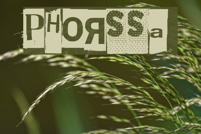 Phorssa Font examples