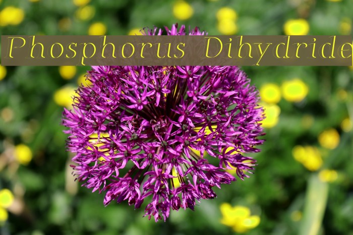 Phosphorus Dihydride Font examples