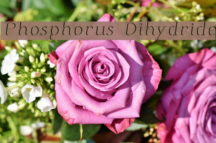 Phosphorus Dihydride Font examples