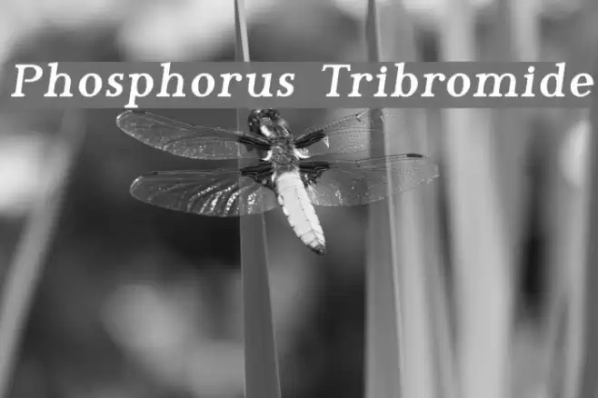 Phosphorus Tribromide Font examples