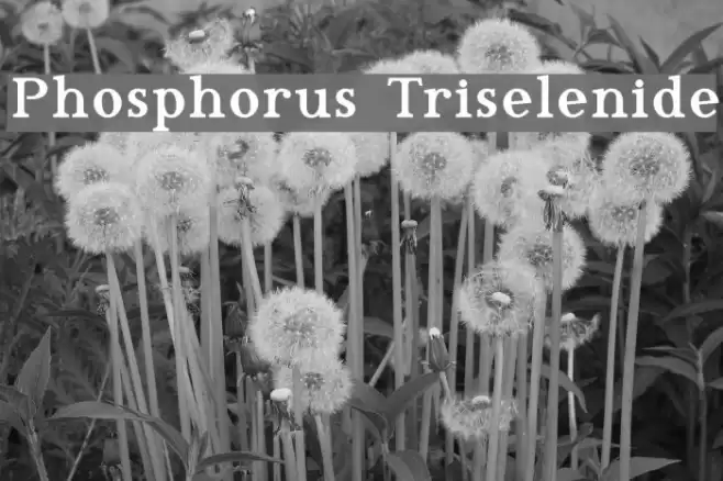Phosphorus Triselenide Шрифта examples