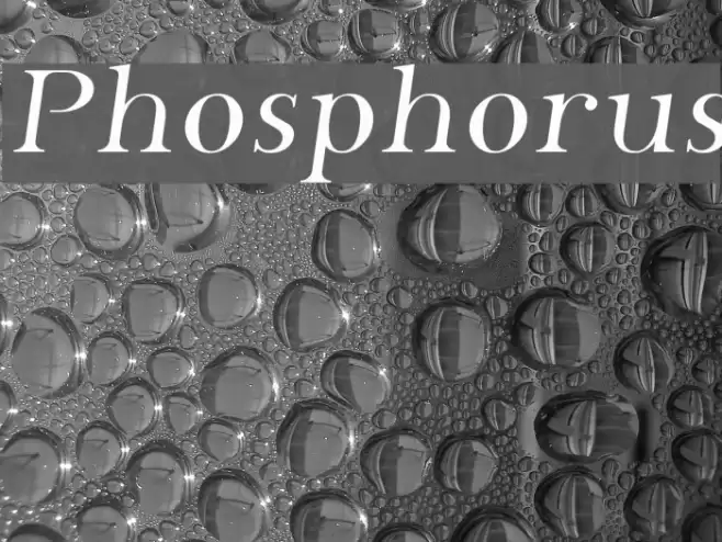 Phosphorus フォント examples