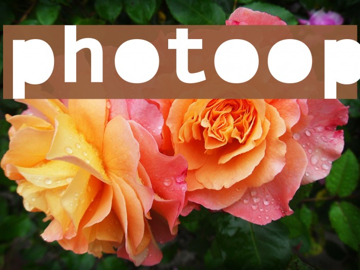 PhotoOp Font examples