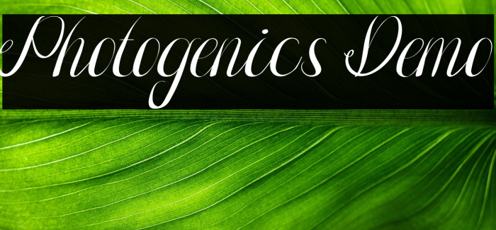 Photogenics Demo Example 1