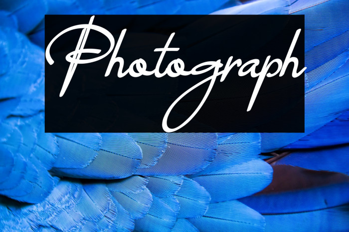 Photograph Example 3