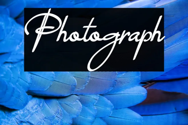 Photograph Example 3