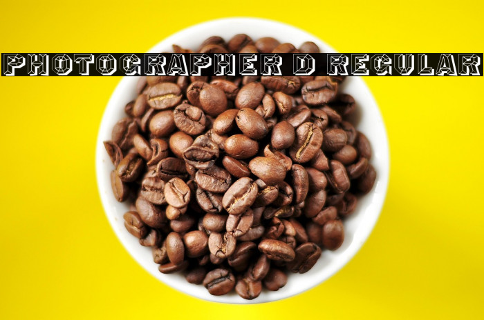 Photographer 3D Regular Example 2