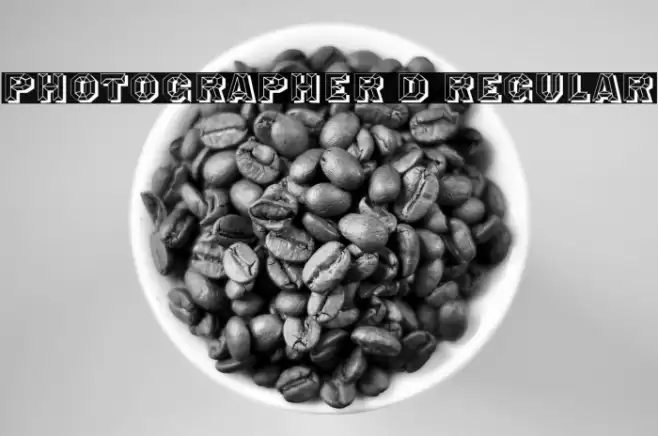 Photographer 3D Regular Font examples