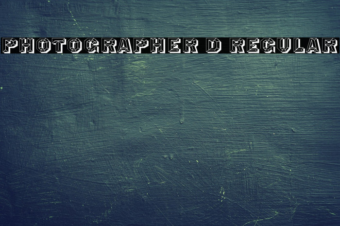 Photographer 3D Regular Example 3