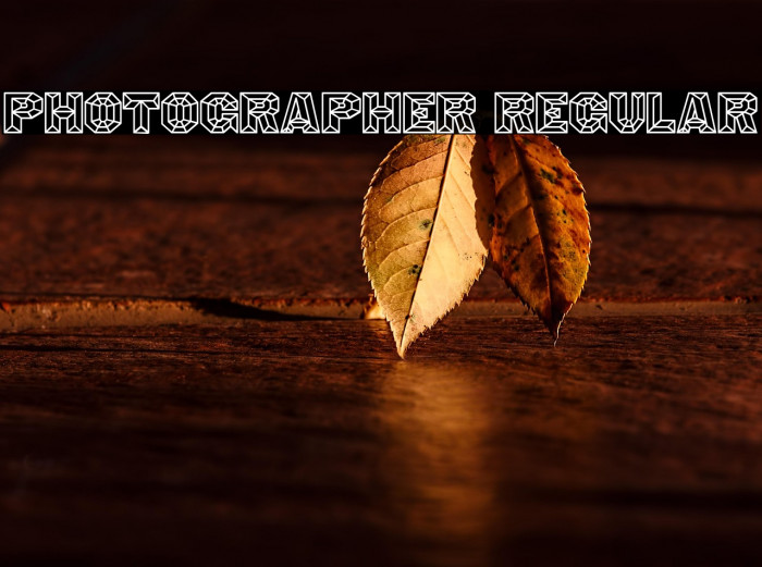 Photographer Regular Example 2