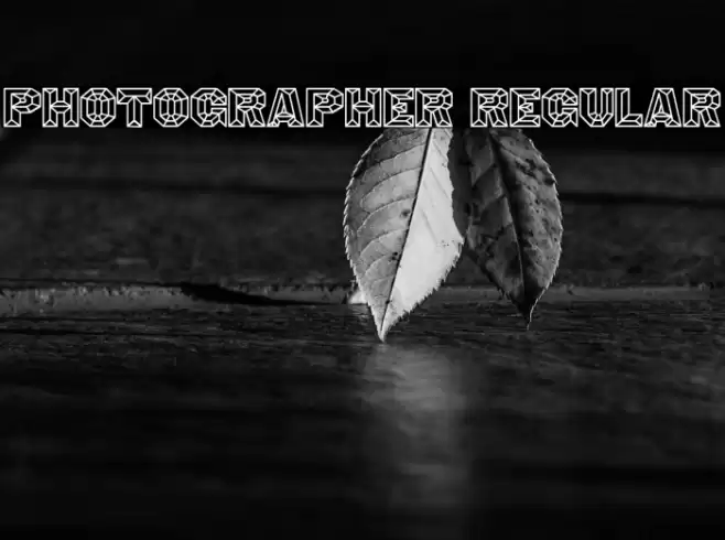 Photographer Regular خط examples