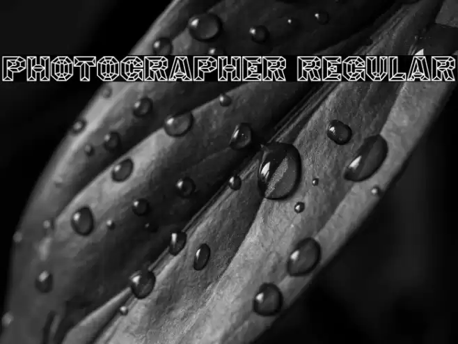 Photographer Regular خط examples