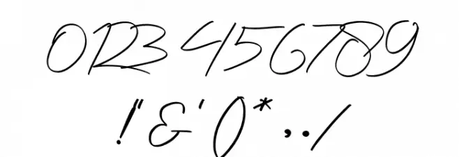 Photographer Script Font OTHER CHARS