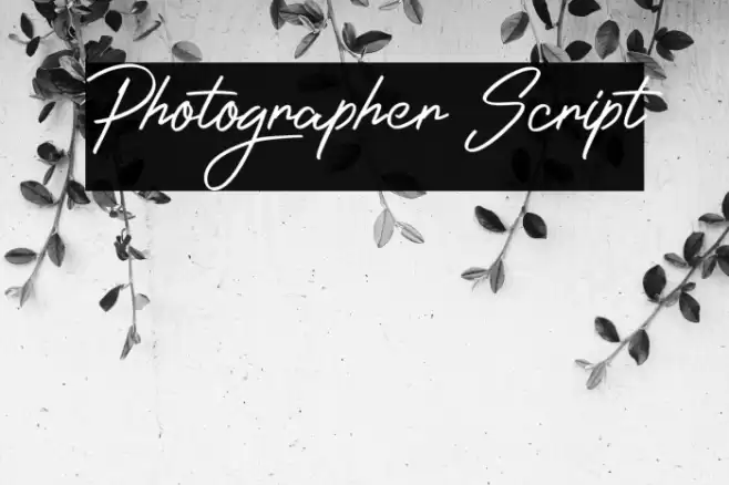 Photographer Script Font examples