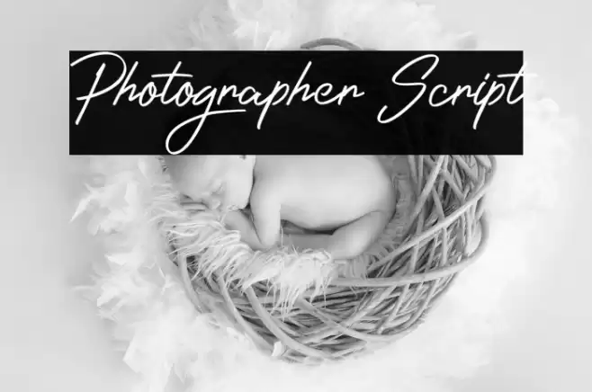Photographer Script Font examples