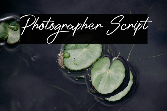 Photographer Script Example 3