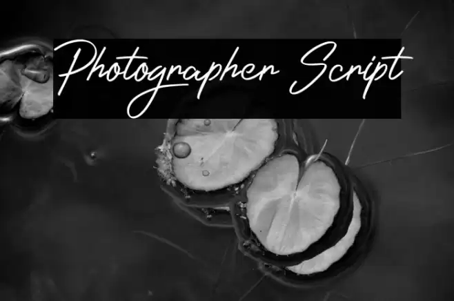 Photographer Script Font examples