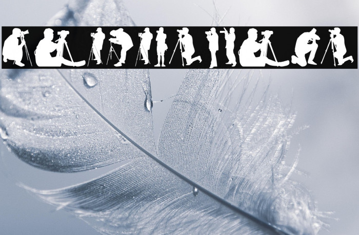 Photographer Example 1