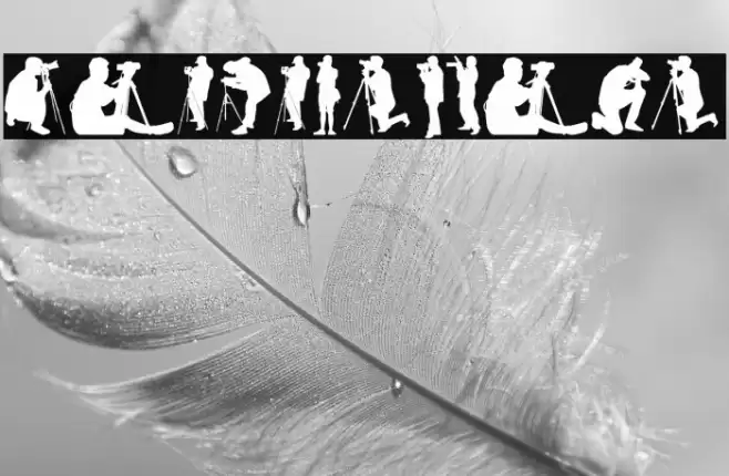 Photographer Font examples