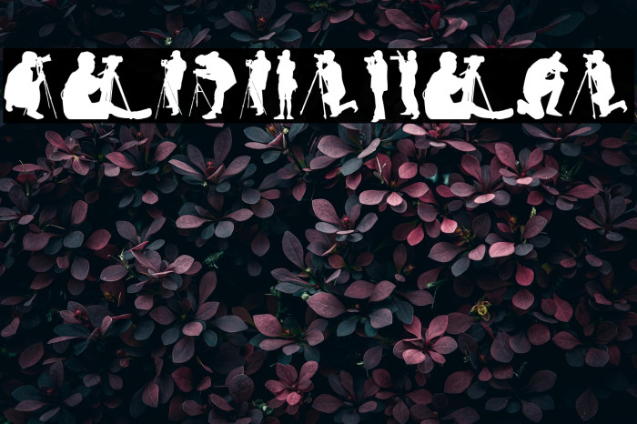 Photographer Example 2