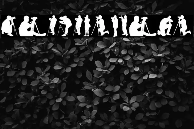 Photographer Font examples