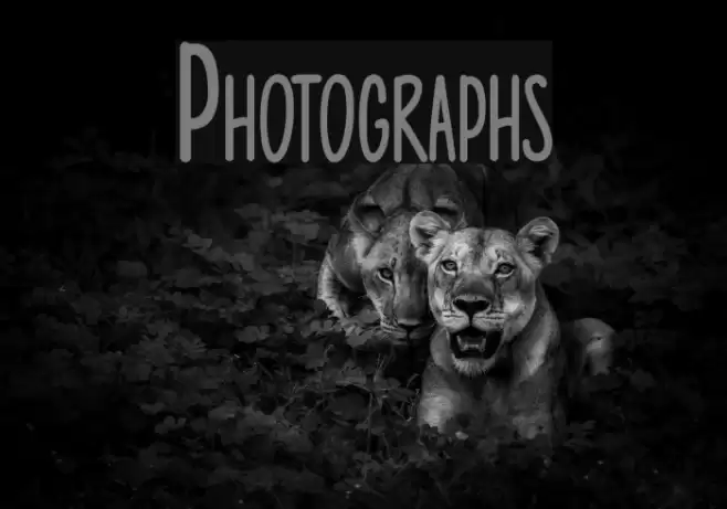 Photographs examples