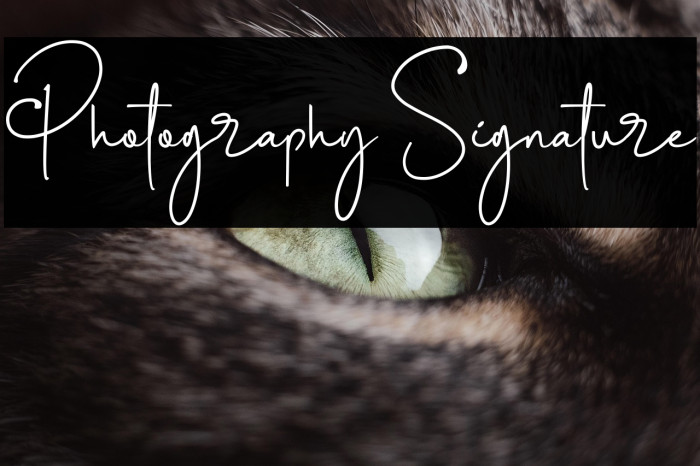 Photography Signature Example 2