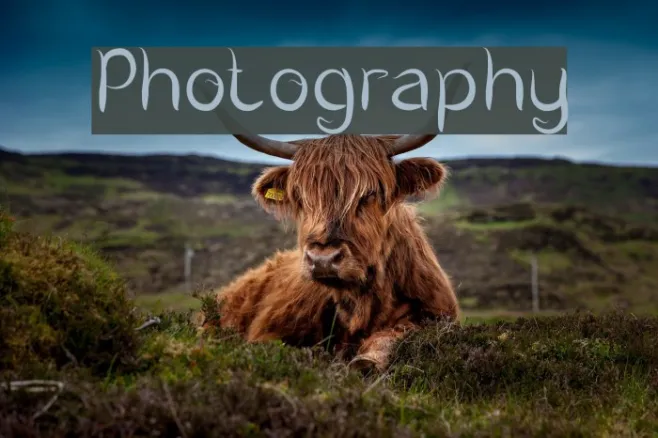 Photography Example 1
