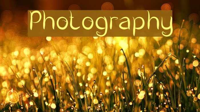 Photography Font examples