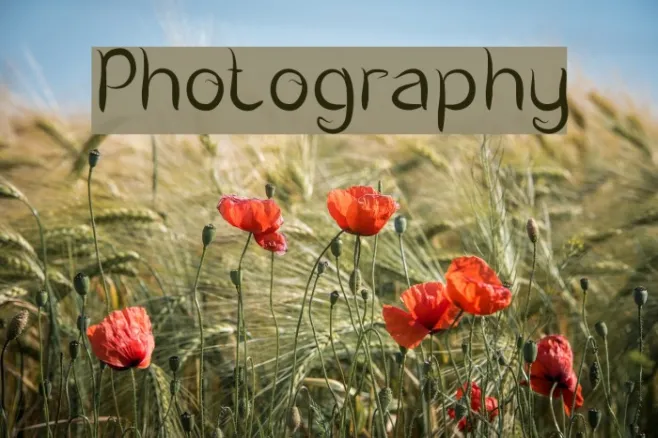 Photography Example 3