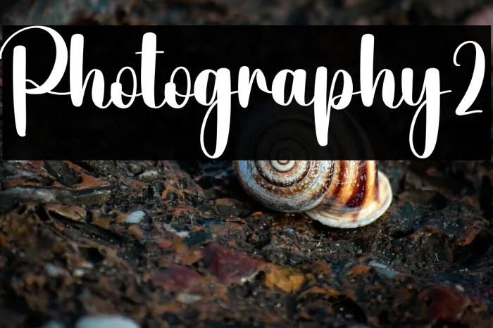 Photography2 Example 1