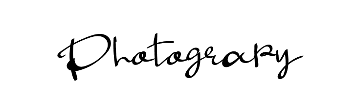 Photograpy  免费字体下载