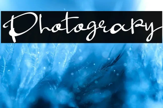 Photograpy Example 3