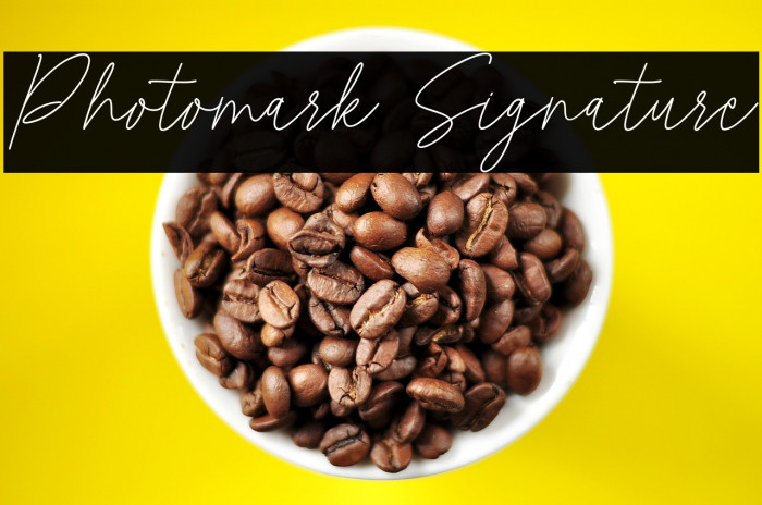 Photomark Signature Example 3