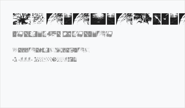 PhotosToVectors Business Card