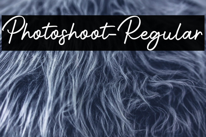 Photoshoot-Regular Example 1