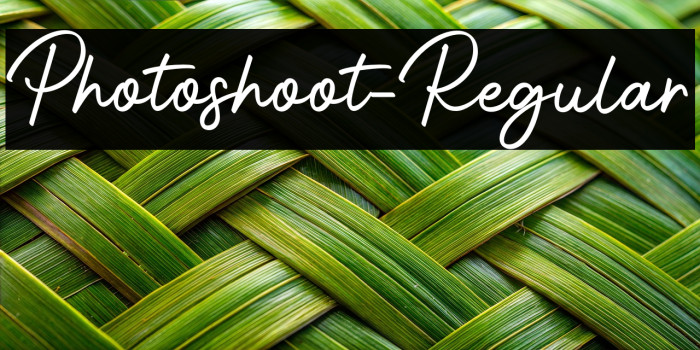 Photoshoot-Regular Example 3