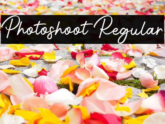 Photoshoot Regular Example 1