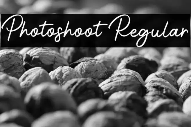 Photoshoot Regular Font examples